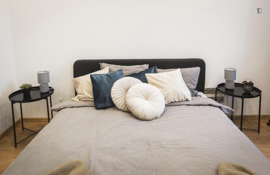 Nice double bedroom in shared flat in Maskavas Forštate - Riga - chambre - ImmoJeune