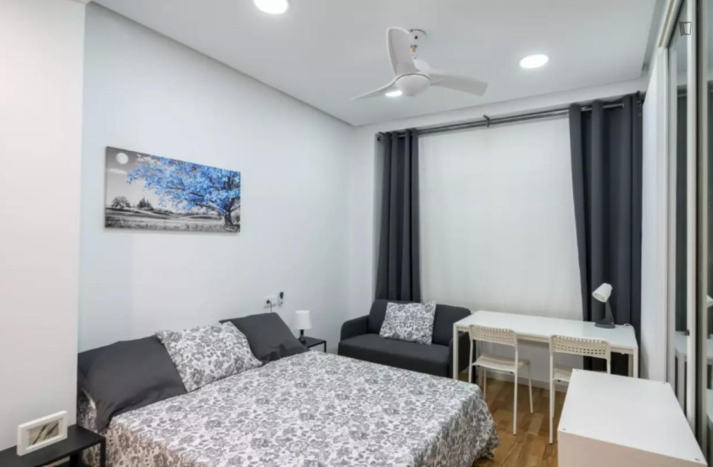 Snug double ensuite bedroom in El Pilar - Valence - chambre - ImmoJeune