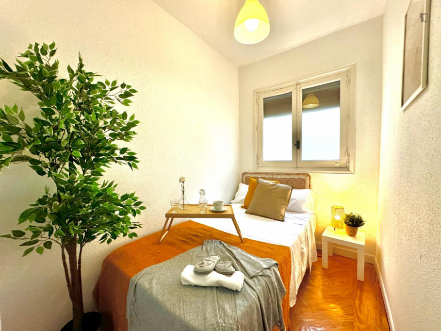 Amazing Double bedroom - Madrid - chambre - ImmoJeune