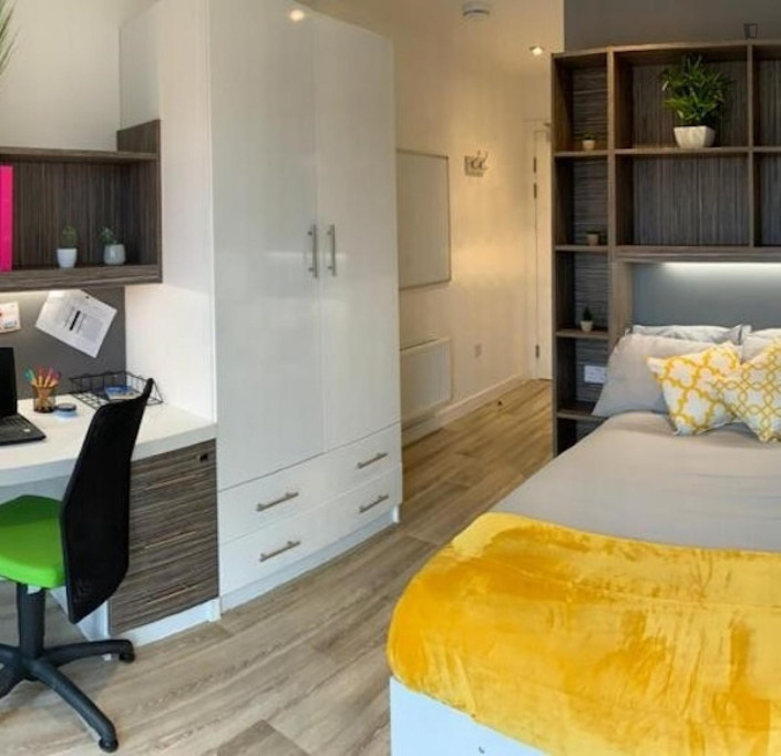 Nice double ensuite bedroom not far from Newcastle Castle - Newcastle - chambre - ImmoJeune