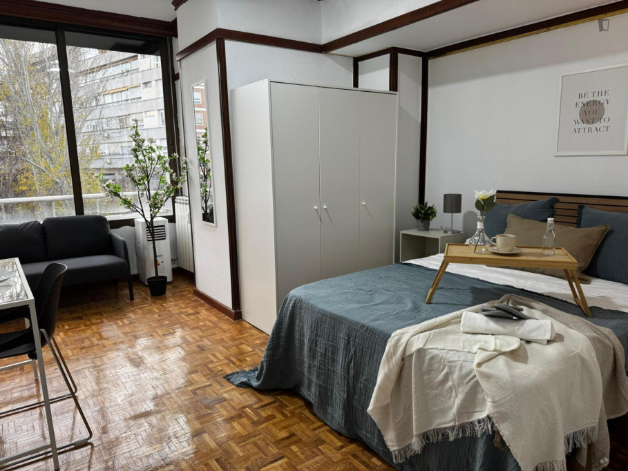 Big double bedroom in Moncloa-Aravaca - Madrid - chambre - ImmoJeune