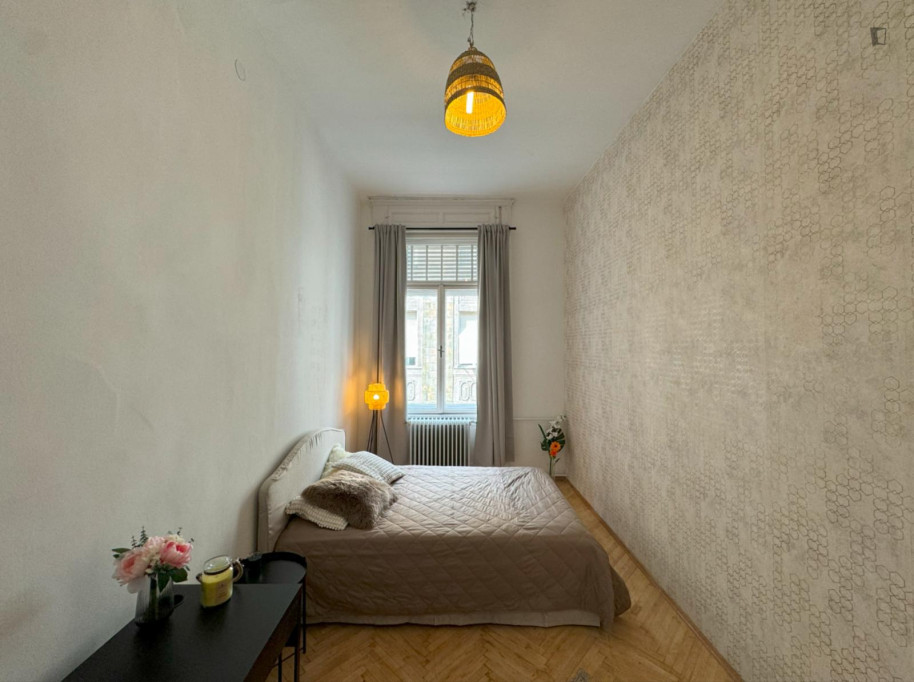 Cozy single bedroom in shared flat near the Ferenciek tere metro station - Budapest - chambre - ImmoJeune