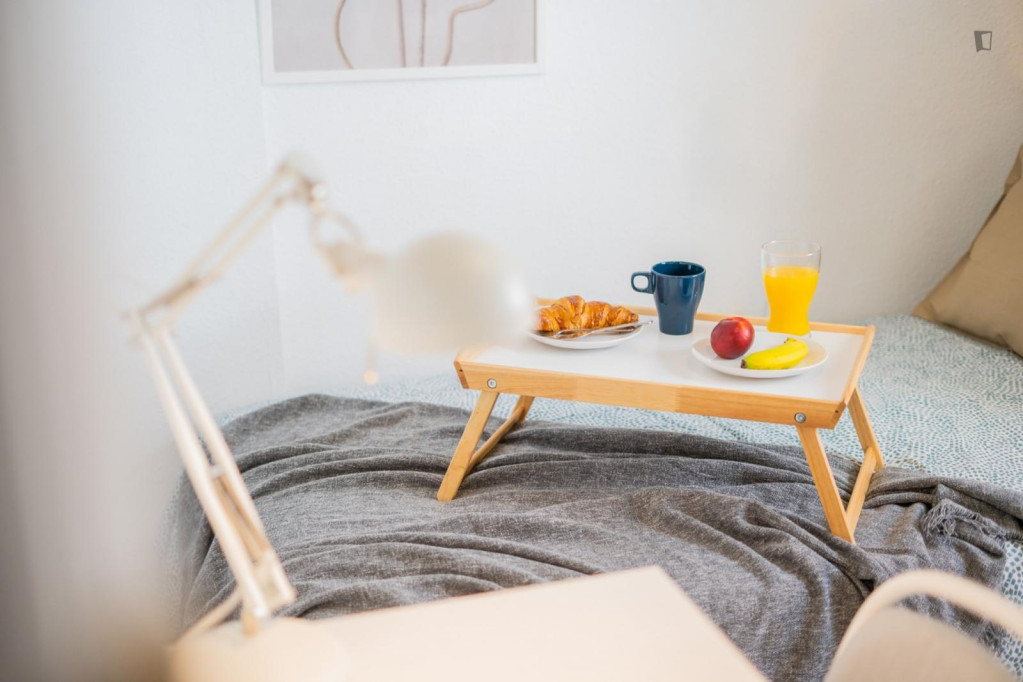 Cozy double bedroom - Valence - chambre - ImmoJeune