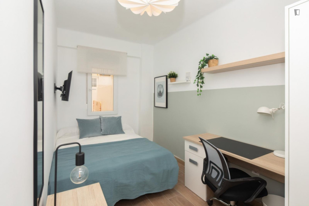 Attractive single bedroom - Valence - chambre - ImmoJeune