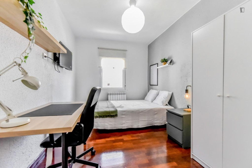 Attractive single bedroom - Valladolid - chambre - ImmoJeune