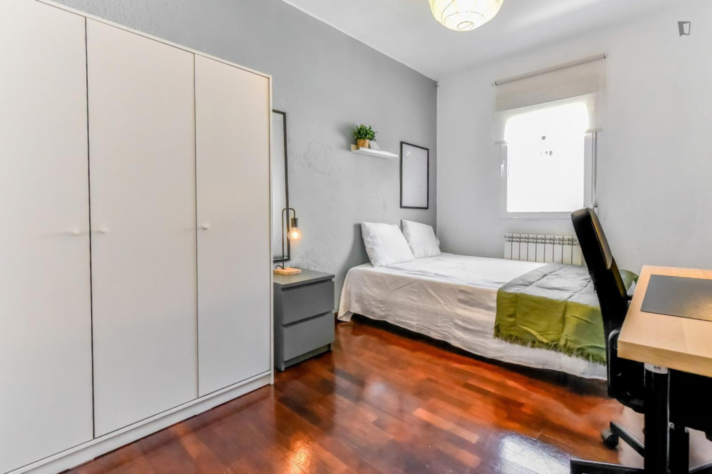 Cozy single bedroom - Valladolid - chambre - ImmoJeune