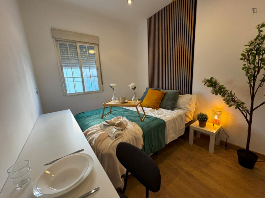 Cozy double bedroom well connected to the city center of Madrid - Madrid - chambre - ImmoJeune