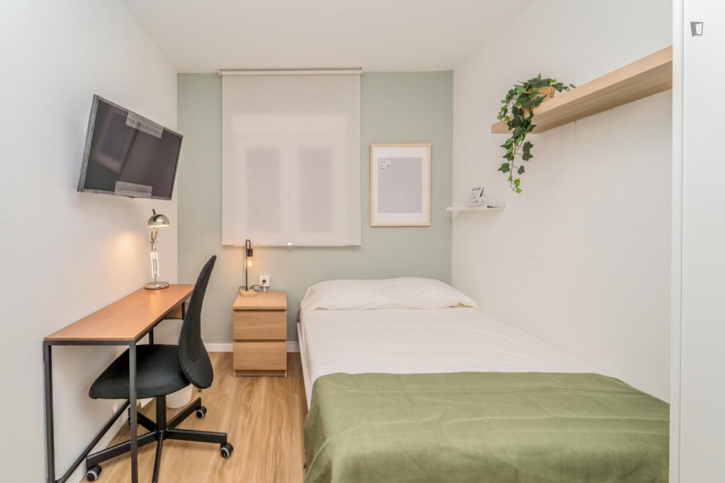 Appealing single bedroom - Valladolid - chambre - ImmoJeune