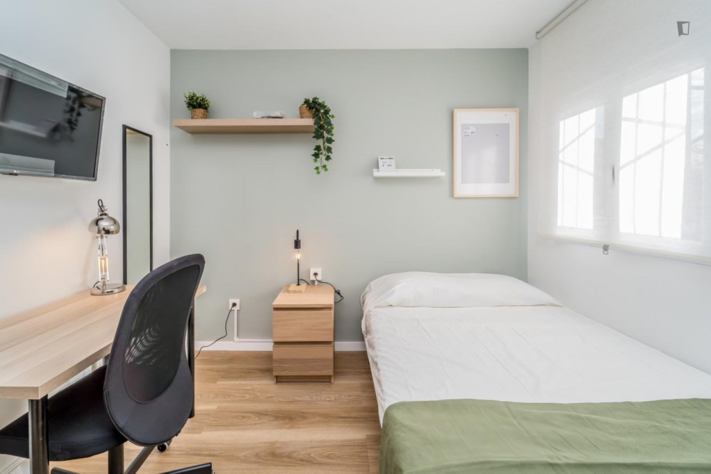 Great looking single bedroom