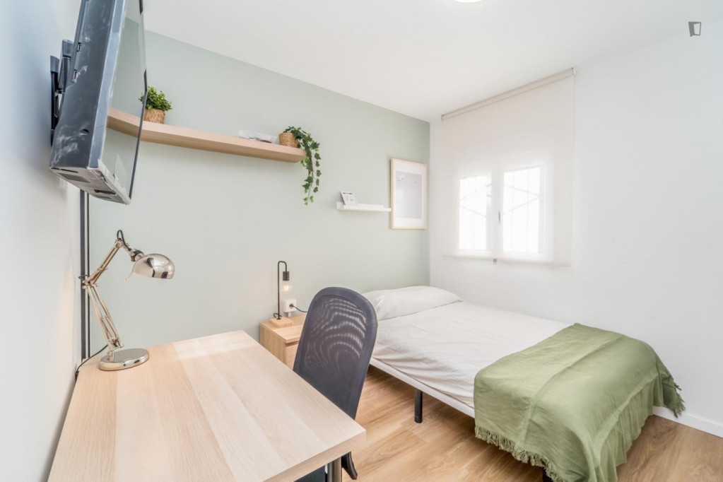 Great looking single bedroom - Valladolid - chambre - ImmoJeune