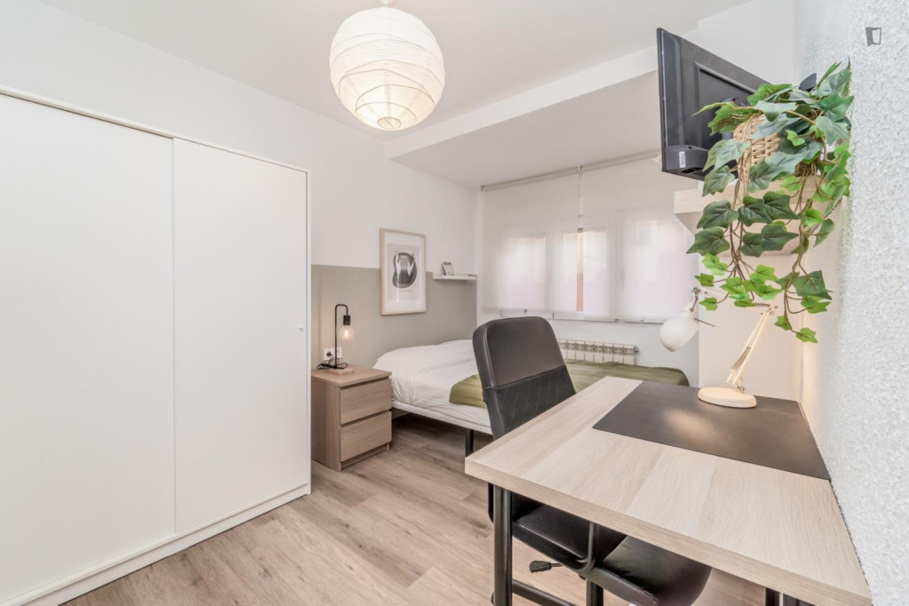 Cozy single bedroom - Valladolid - chambre - ImmoJeune