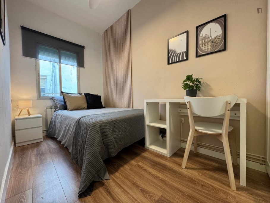 Comfortable double bedroom in central Madrid, close to Tirso de Molina metro station - Madrid - chambre - ImmoJeune