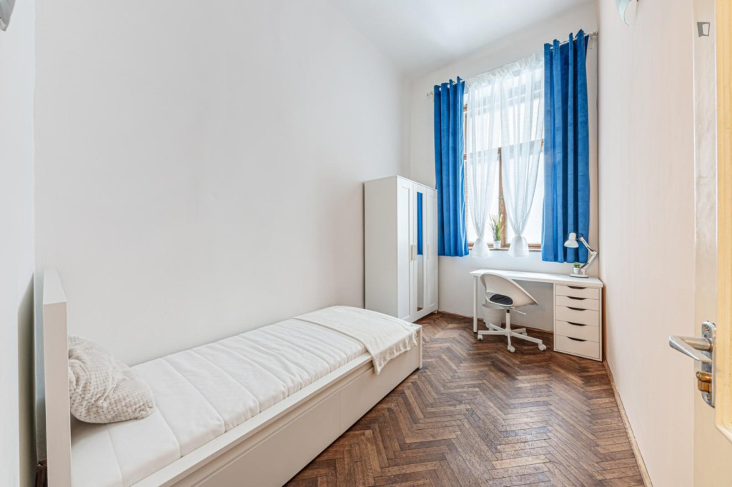 Pleasant single bedroom in a shared flat in well-connected Erzsébetváros - Budapest - chambre - ImmoJeune