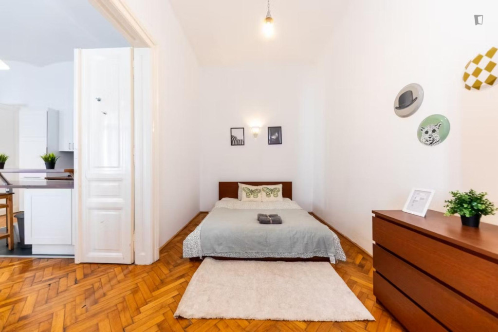 Very nice double bedroom, in Terézváros