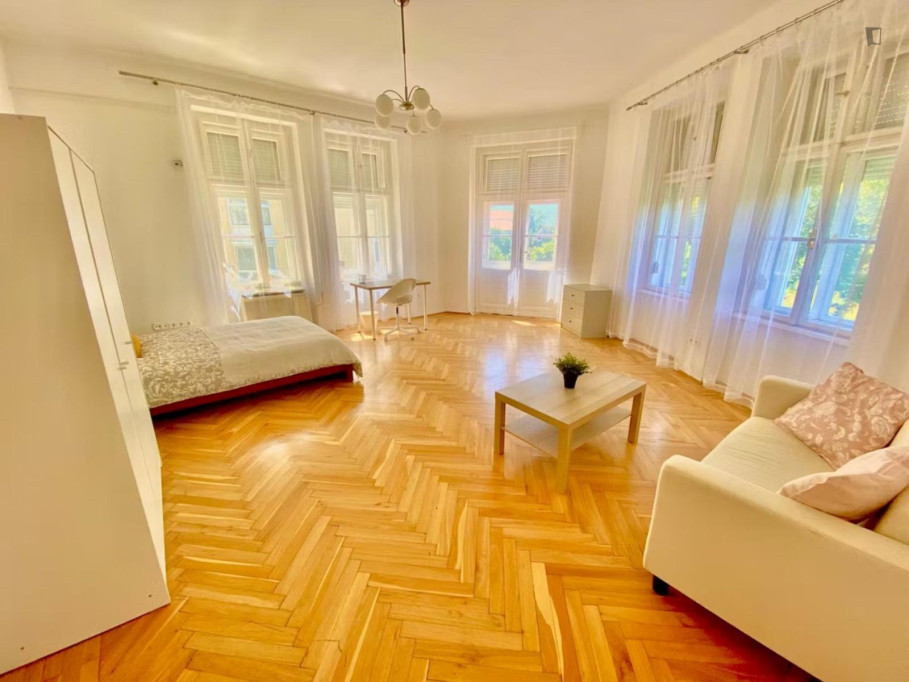 Large double bedroom in District VIII