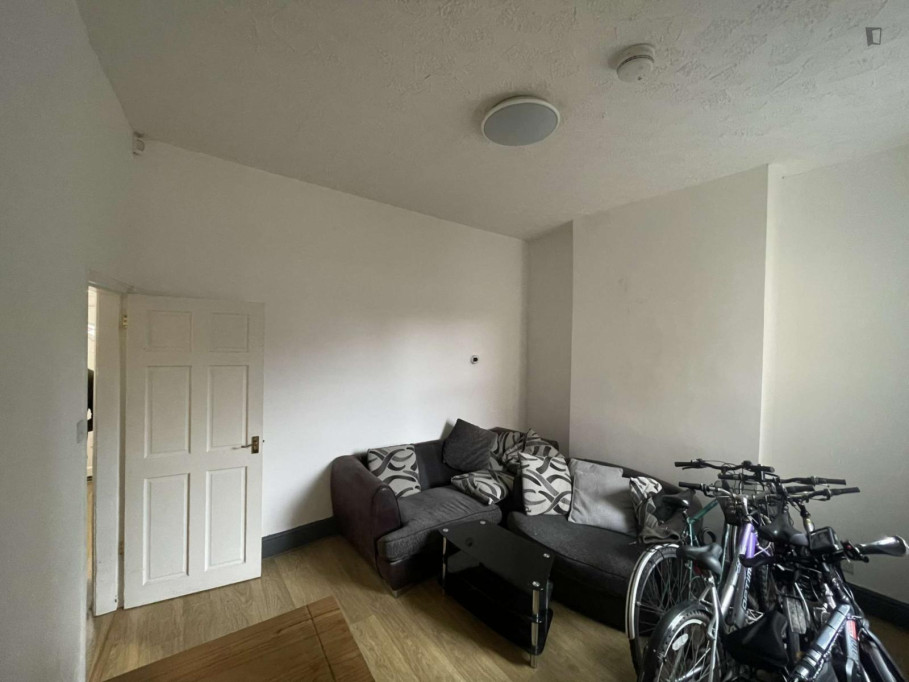 3-Bedroom apartment near the University of Hull - Hull - chambre - ImmoJeune
