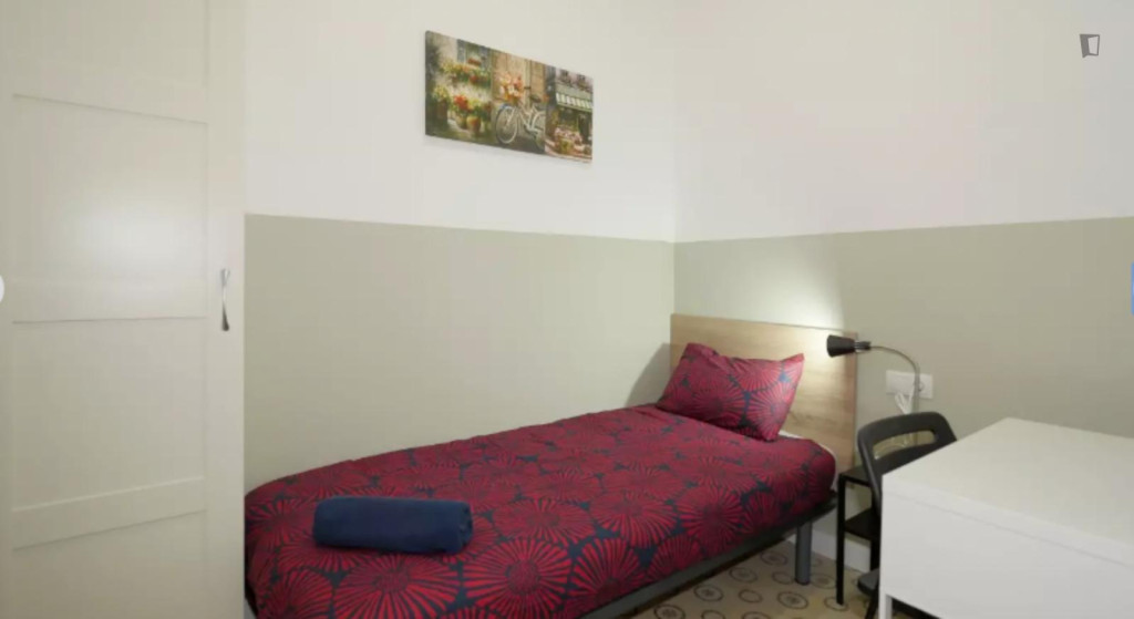 Single bedroom in a student flat, in El Raval - Barcelone - chambre - ImmoJeune