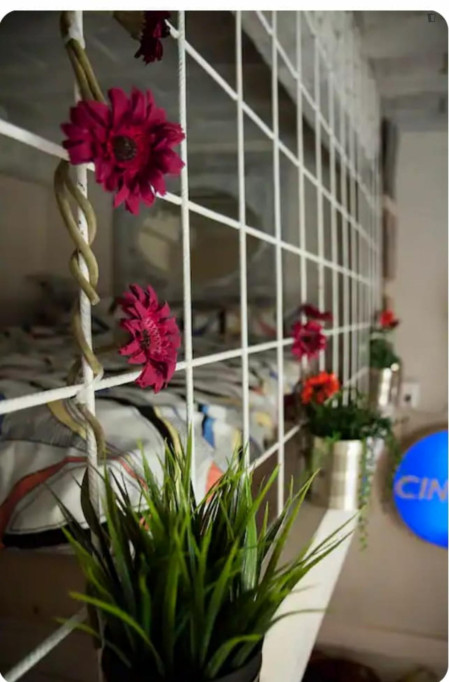 Very VERY central studio in Florence for 2 - Florence - chambre - ImmoJeune