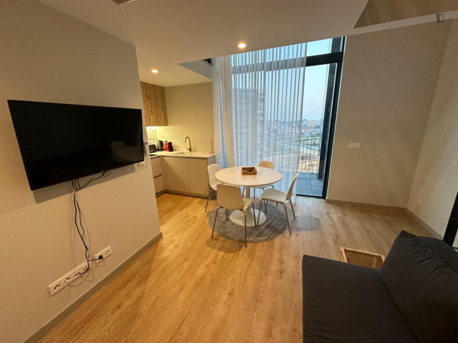 Very nice 1-bedroom apartment in Vila Nova de Gaia