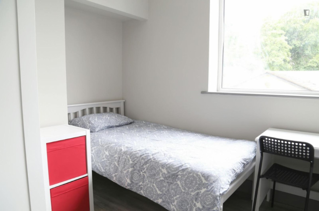 Bed in a cosy twin bedroom, near Albert College Park - Dublin - chambre - ImmoJeune