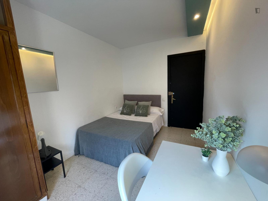 Charming double bedroom next to Plaza de Espana - Séville - chambre - ImmoJeune