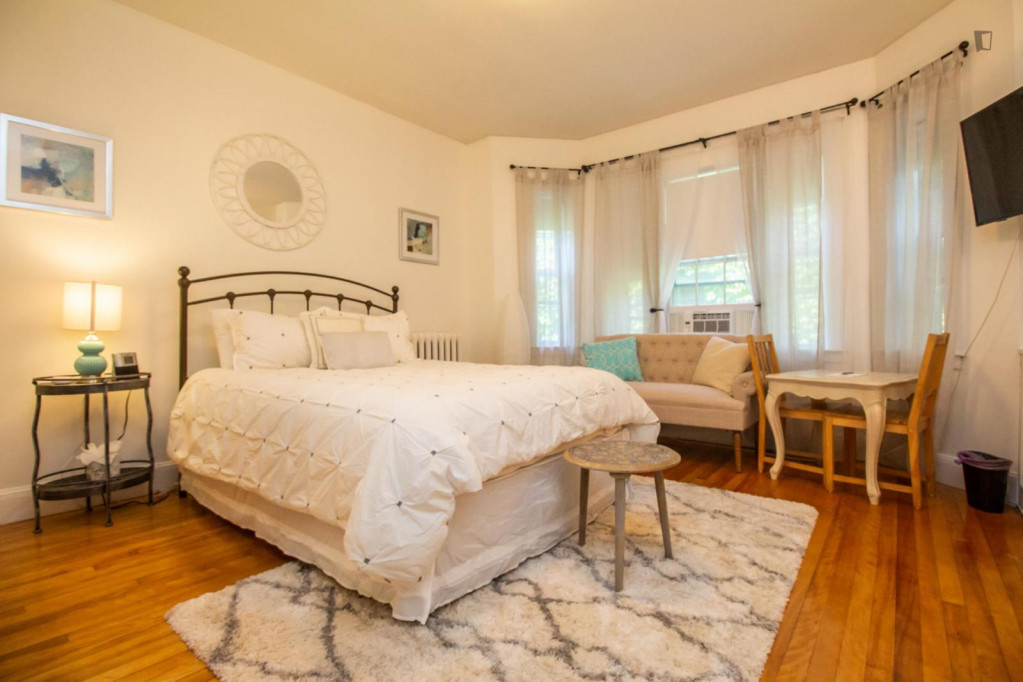 Furnished, Cozy, Spacious Studio In Coolidge Corner - Boston - chambre - ImmoJeune