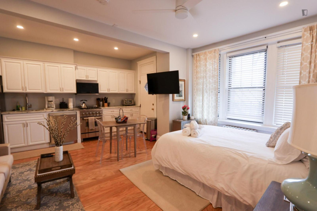 Spacious studio in the St. Elizabeth's neighbourhood - Boston - chambre - ImmoJeune