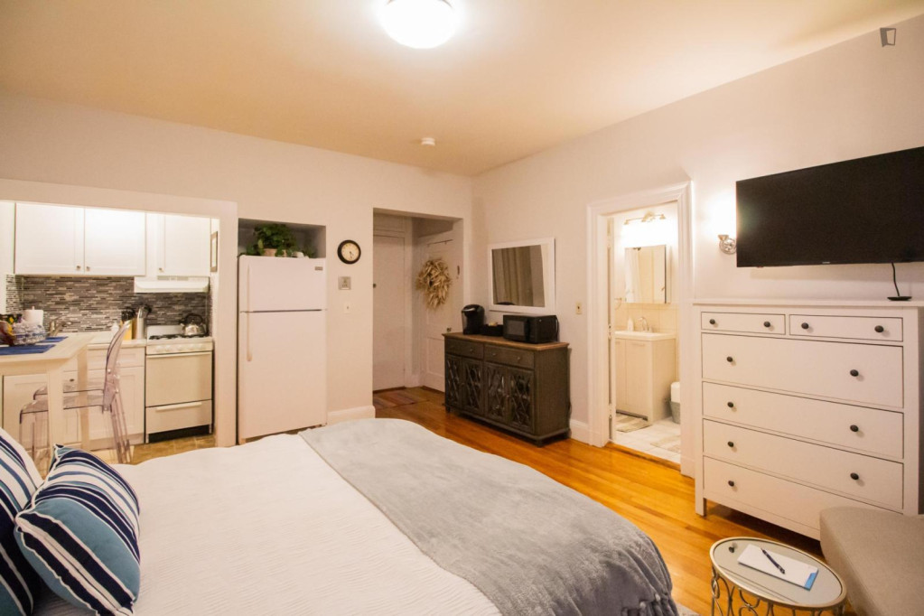 Spacious studio in Coolidge Corner South Side - Boston - chambre - ImmoJeune