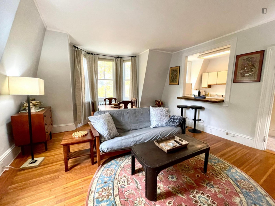 Sublime 1-bedroom apartment in Brookline - Boston - chambre - ImmoJeune