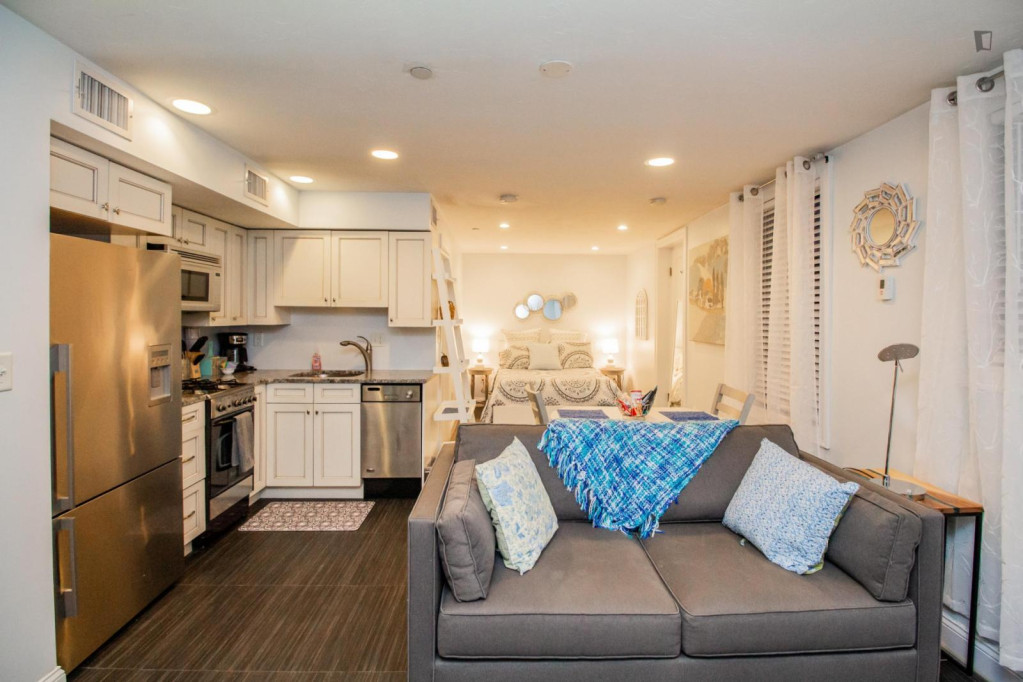 Beautiful and Spacious Studio in Beacon Hill - Boston - chambre - ImmoJeune