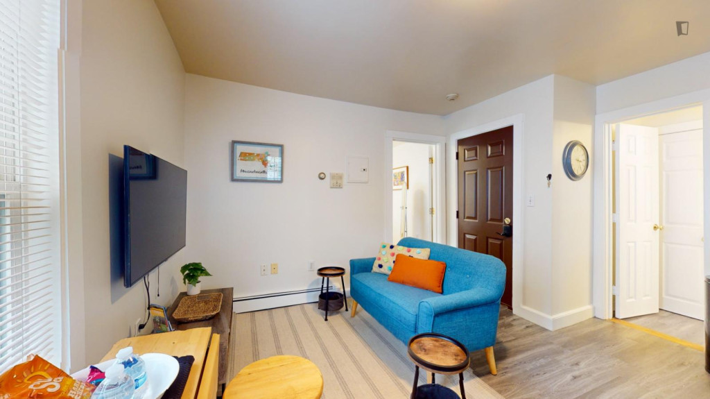 Sunny 1-bedroom apartment in the vicinity of MIT and Harvard University - Boston - chambre - ImmoJeune