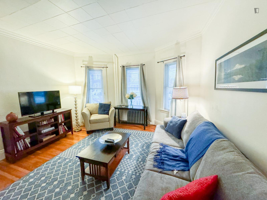 Cozy 2 -bedroom apartment in the vibrant and well-connected North Cambridge neighborhood - Boston - chambre - ImmoJeune