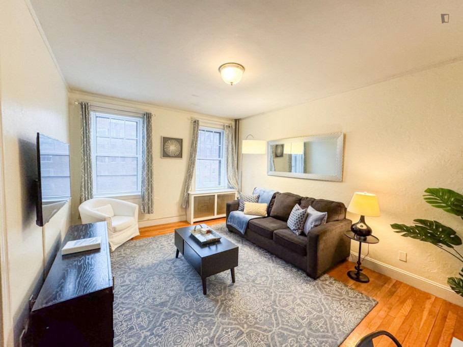 Elegant 1-bedroom apartment near the Brighton campus of Boston College - Boston - chambre - ImmoJeune