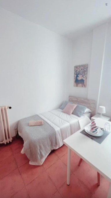 Cozy single bedroom well connected to the city center of Madrid - Madrid - chambre - ImmoJeune