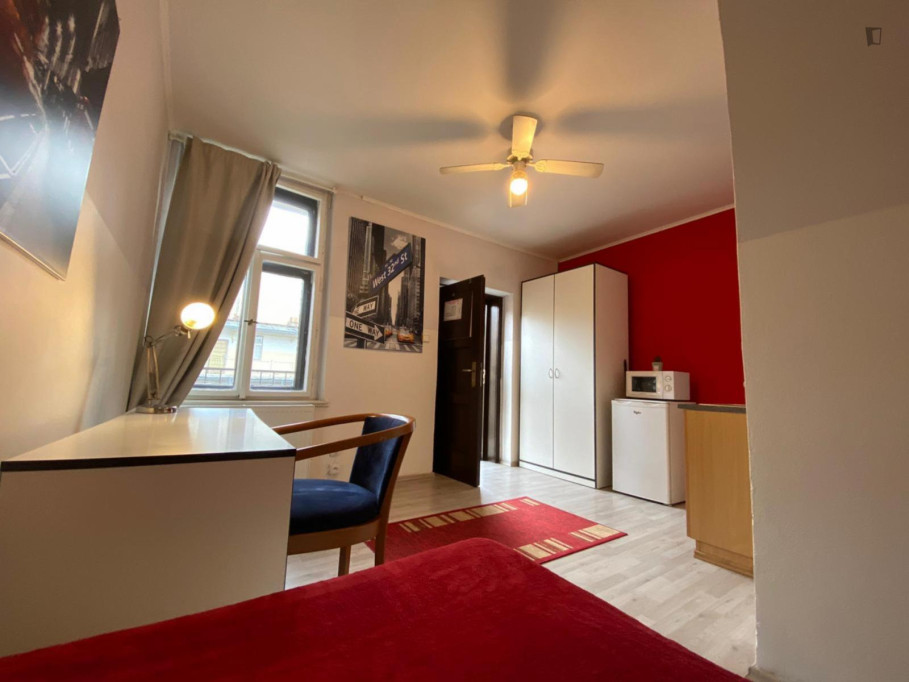 Nice studio in Žižkov - Prague - chambre - ImmoJeune