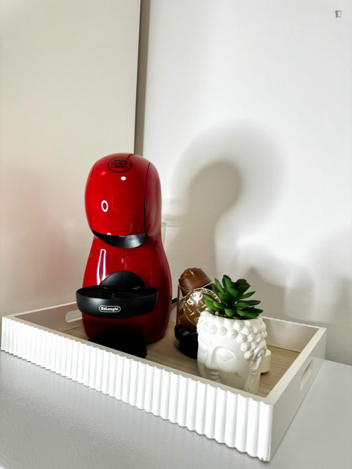 Homely double bedroom in Castellana - Madrid - chambre - ImmoJeune
