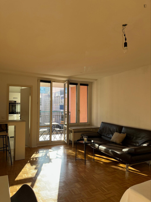 Large and bright studio in Ludwigsvorstadt-Isarvorstadt - Munich - chambre - ImmoJeune