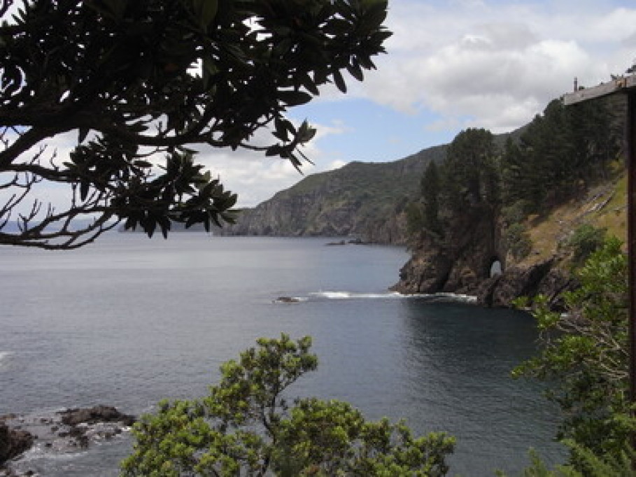 affordable wakeup with an oceanview
