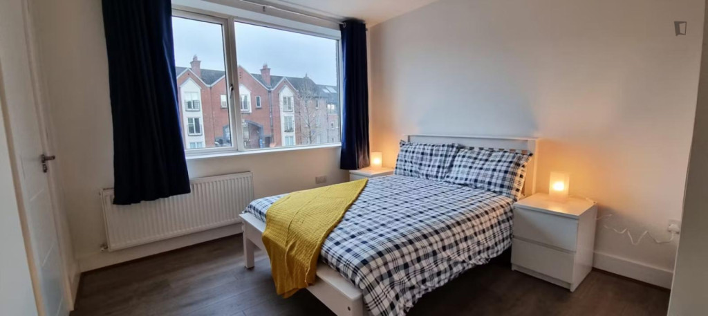 Homely double bedroom near the Grangegorman campus of TU Dublin - Dublin - chambre - ImmoJeune