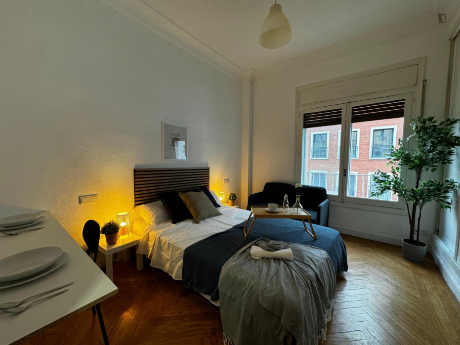 Splendid double bedroom in Castellana - Madrid - chambre - ImmoJeune