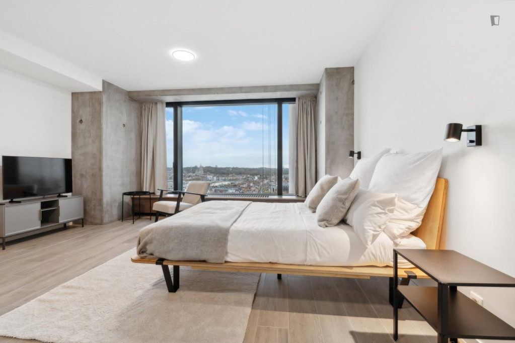 Appealing studio in a modern apartment complex in well-connected Brussels North  - Bruxelles - chambre - ImmoJeune