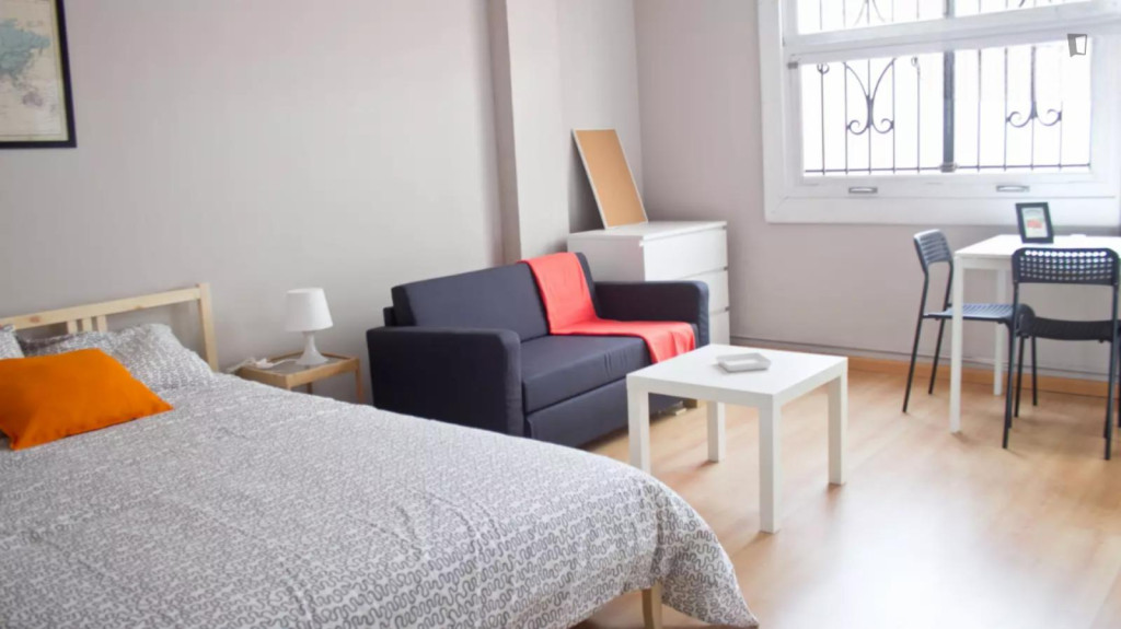 Spacious single bedroom in shared flat close to the Àngel Guimerà metro station - Valence - chambre - ImmoJeune