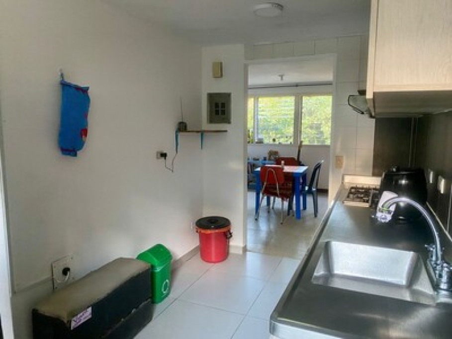 Room in place surrounded by trees