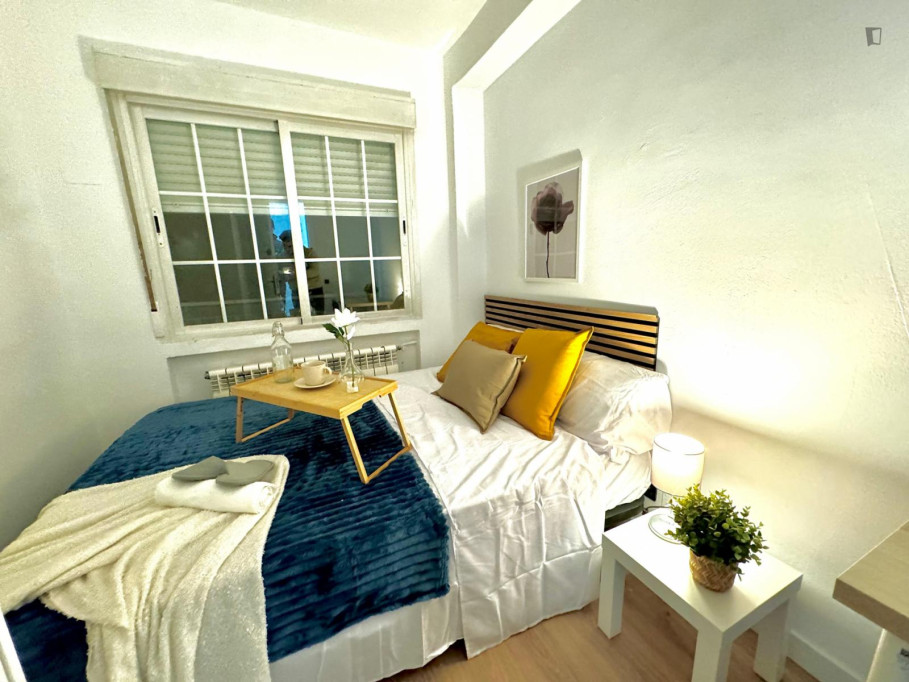 Neat and cosy double bedroom near Universidad Politécnica de Madrid - Madrid - chambre - ImmoJeune