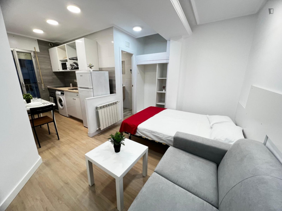 Alluring studio in the Lucero neighbourhood - Madrid - chambre - ImmoJeune
