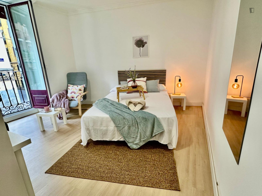 Lovely double bedroom in Lavapiés - Madrid - chambre - ImmoJeune