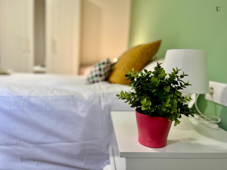 Charming double bedroom in Parque de Roma