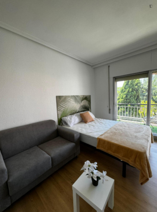 Neat Double bedroom in Quintana - Madrid - chambre - ImmoJeune