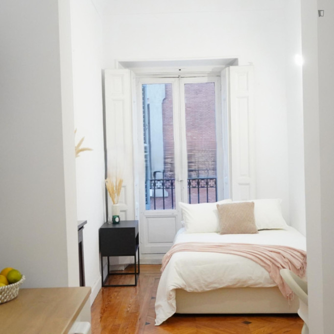 Homely double bedroom near the famous Puerta de Alcalá - Madrid - chambre - ImmoJeune