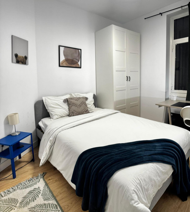 Double bedroom in a student flat, in Recoletos - Madrid - chambre - ImmoJeune